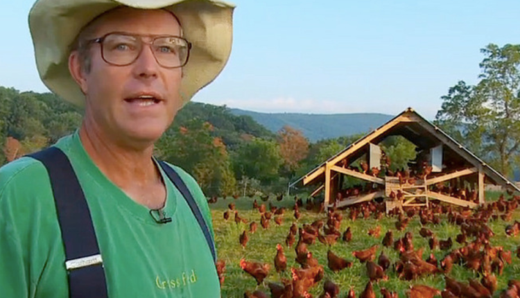 Ceny żywności są najwyższe w historii a jakość najgorsza