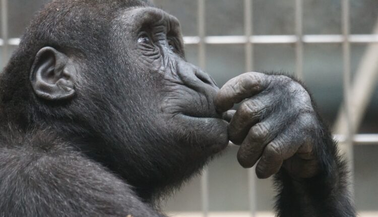 Kryptowaluty. Na co ludzie wciąż dają się nabrać?