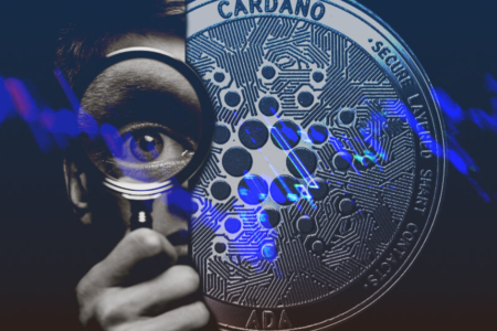 Cardano dotychczas nie spełniło oczekiwań