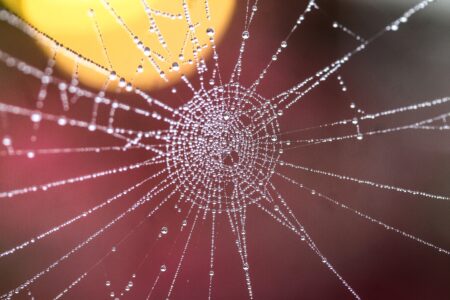 Brutalna prawda o analizie on-chain. Co naprawdę pozwala pokonać rynek?