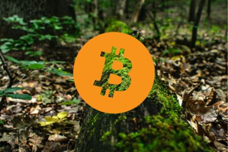 Jaki wpływ ma Bitcoin na środowisko?