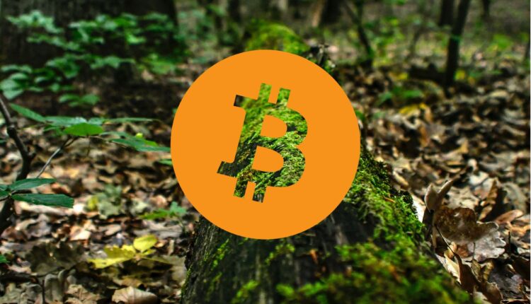 Jaki wpływ ma Bitcoin na środowisko?