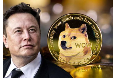 Czy DOGE naprawdę jest taki dobry ?
