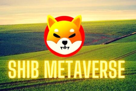 Shiba Inu (SHIB) zaprezentuje prace nad SHIB: The Metaverse na festiwalu filmowym w Teksasie