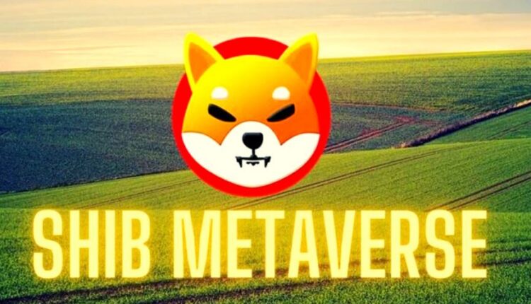 Shiba Inu (SHIB) zaprezentuje prace nad SHIB: The Metaverse na festiwalu filmowym w Teksasie