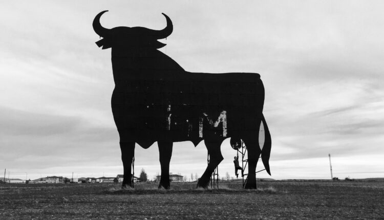 Wieloryby sprzedają Bitcoina. Analiza on-chain: Retest 20 000 USD czy 32 700 USD?