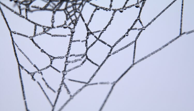 Bitcoin znów słabnie, spada poniżej 22 500 USD. Ostatnia okazja, czy rajd kryptowalut był pułapką?