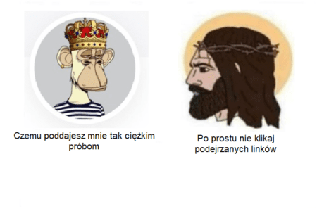 Głupota to raj dla scammerów. 70 BAYC skradzionych przez złe kliknięcie, rekordzista wydrenował 115 mem-coinów
