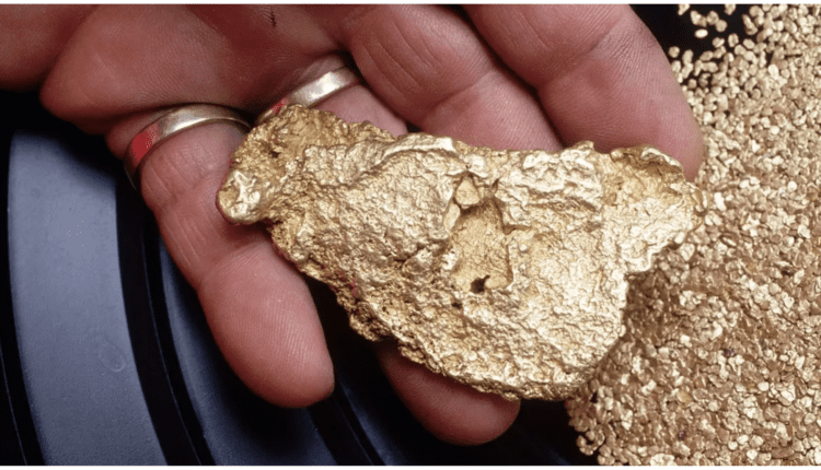 Nowa gorączka złota na wzgórzach Kalifornii