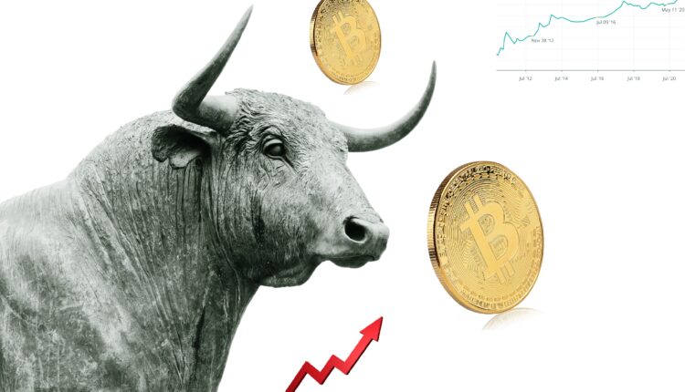 JPMorgan: 'Halving napędza Bitcoina’. Wzrost crypto to rajd frajerów czy tanio już było?