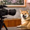 dogecoin