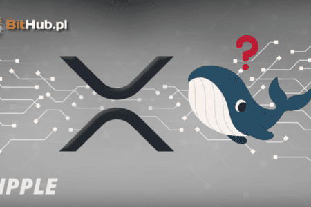 Wieloryby Ripple znowu akumulują XRP. Co wiedzą?