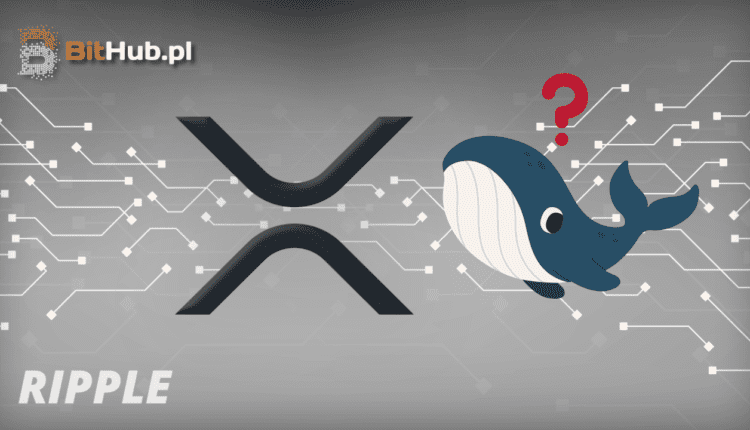 Wieloryby Ripple znowu akumulują XRP. Co wiedzą?