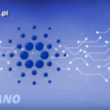 logo cardano na niebieskim tle