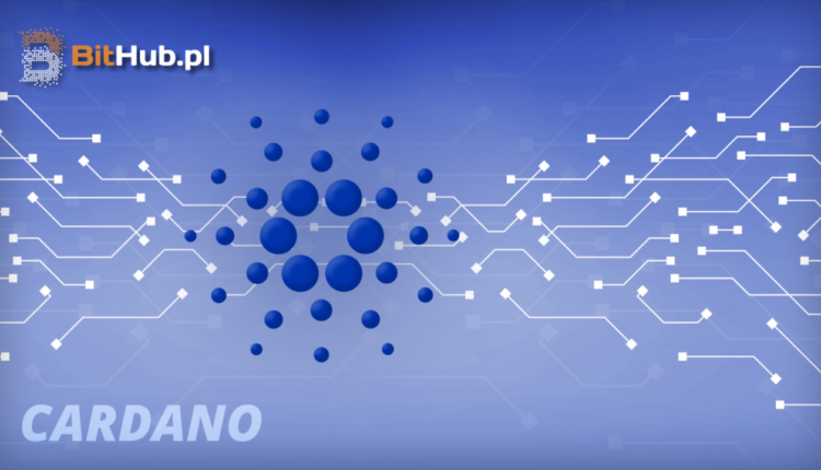 Cardano pobija bardzo ważny rekord i pokonuje kolejny kamień milowy. Czy ADA jest niedowartościowana?