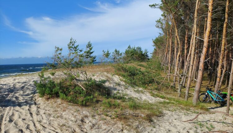 Wakacje 2023: gdzie w tym roku Polacy wybierają się na wypoczynek?