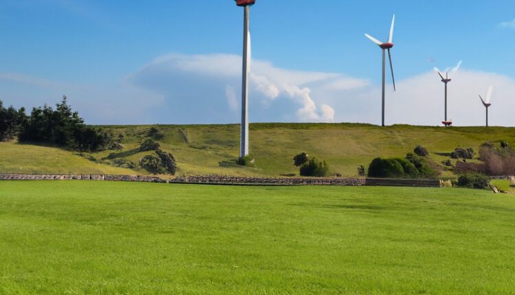 Energetyka wiatrowa w Polsce: potencjał wciąż jest, ale powoli się wyczerpuje
