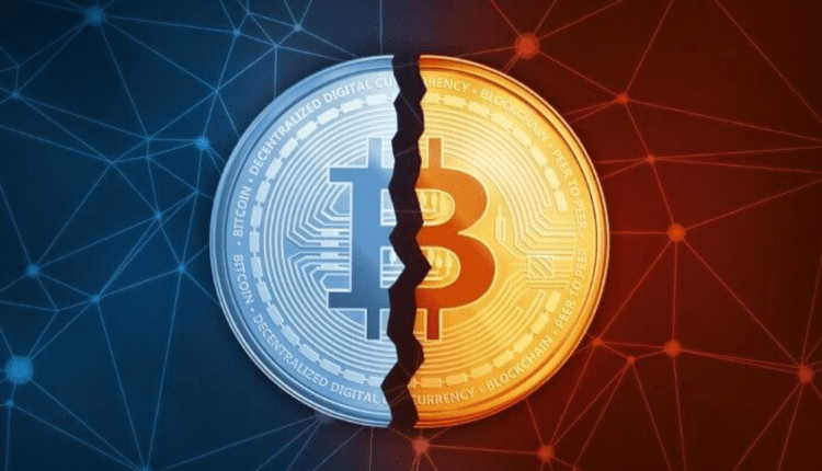 Liczba wielorybów Bitcoina potężnie spada. Halving? 'Tym razem będzie inczej’
