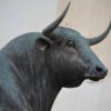 Profil byka