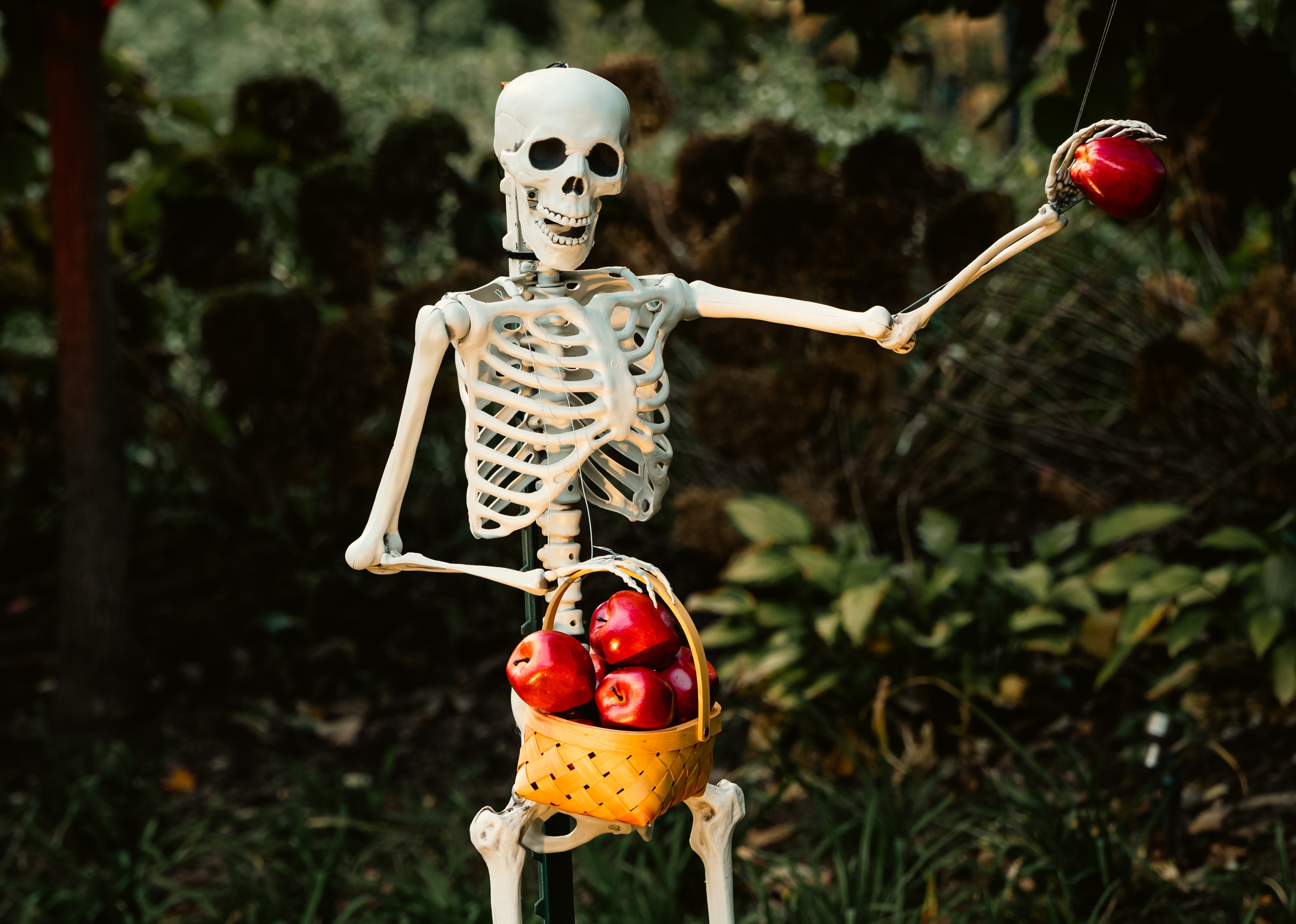 Obawa przed przemysłowym 'zatrutym jabłkiem’? Indie blokują chińską fabrykę