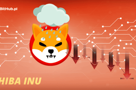 Shiba Inu wypuściło w końcu swój flagowy produkt: Shibarium. Czy projekt to klapa?