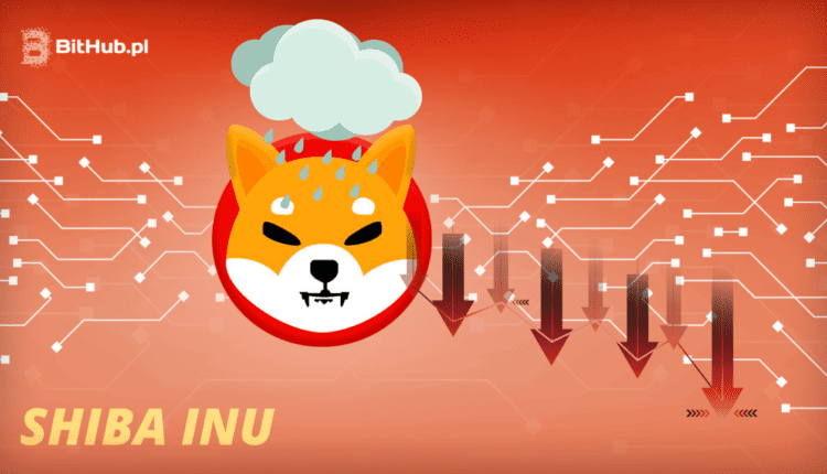 Shiba Inu wypuściło w końcu swój flagowy produkt: Shibarium. Czy projekt to klapa?