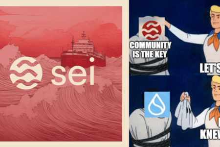 Sei Network to „scam”? Nowy blockchain w ogniu krytyki ze strony społeczności krypto