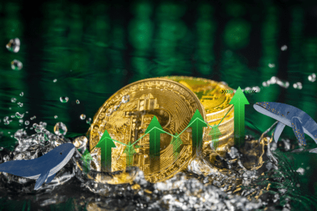 Bitcoin-y warte setki mln USD zakupiono tuż przed wyrokiem sądu w sprawie Grayscale. Gruby wiedział?