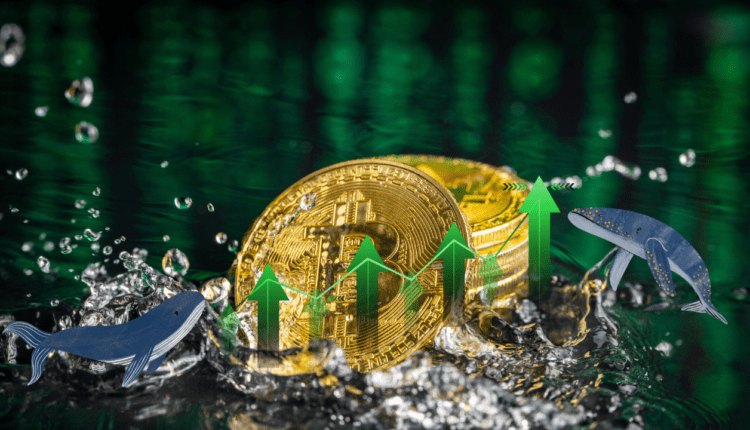 Bitcoin-y warte setki mln USD zakupiono tuż przed wyrokiem sądu w sprawie Grayscale. Gruby wiedział?