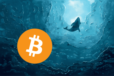 Wieloryby robiły duże zapasy Bitcoina w ostatnich miesiącach. Czego możemy się spodziewać?