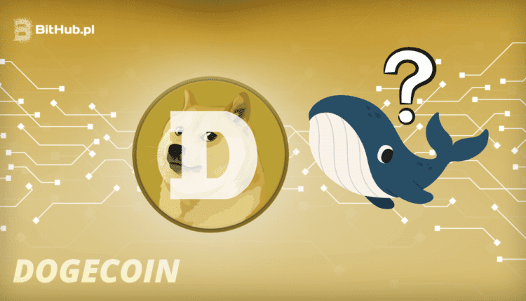 Starożytne wieloryby kryptowaluty Dogecoin przenoszą hurtem tokeny po niemal dekadzie