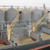 Grain shipping