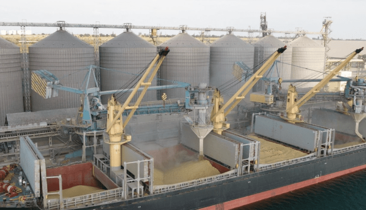 Rosja blokuje ukraińskie zboże – piekli się jednak o pieniądze za własny