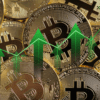 Monety bitcoin z zielonymi strzałkami wskazującymi na aprecjację