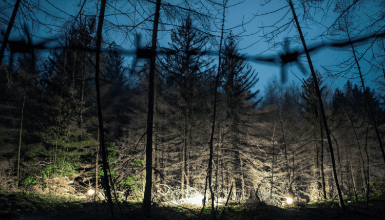 granica lasu widoczna zza drutu kolczastego, za granicą światła i ogniska