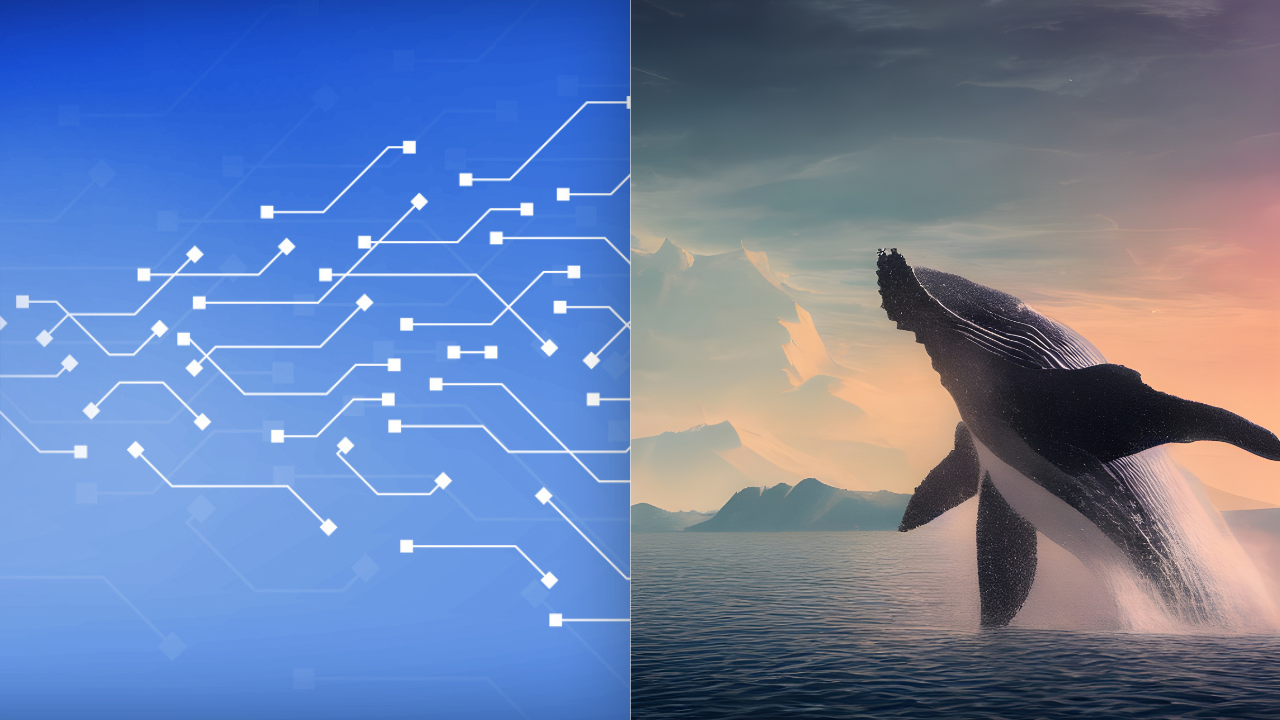 Niebieska grafika ilustrująca blockchain po lewej oraz wyskakujący z wody wieloryb po prawej