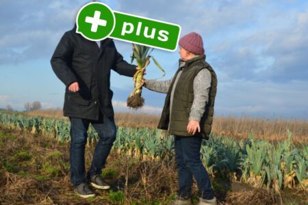Pora na Pola – dramat inwestorów, miliony dotacji. Upadłość 2 miesiące po zbiórce? Oto  'Crowdinvesting’. Miał być 'Amazon’ i podbój rynku