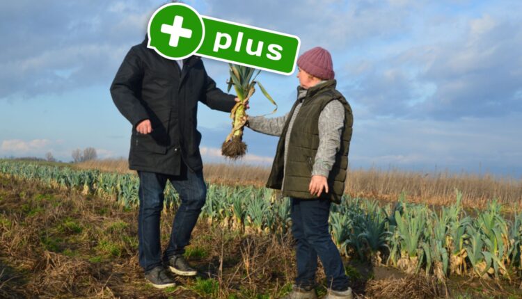 Pora na Pola – dramat inwestorów, miliony dotacji. Upadłość 2 miesiące po zbiórce? Oto  'Crowdinvesting’. Miał być 'Amazon’ i podbój rynku