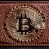 krypto bitcoin logo