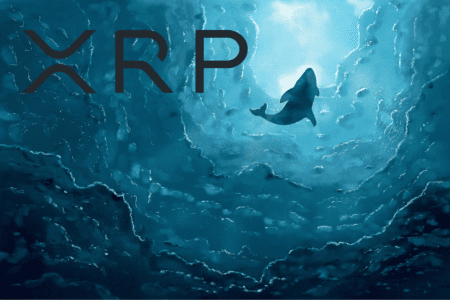 Wieloryby wciąż gromadzą XRP, choć już nie tak aktywnie. Jedna kwestia ma kluczowe znaczenie