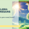 grafika z obrazem renesansowym i kolumną grecką z zielonym tłem i napisem "Solana:renesans"