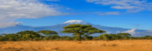 Tanzania – Kilimanjaro