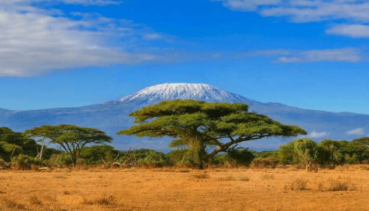 Tanzania skupuje złoto, czyli jak poradzić sobie w warunkach dolarowej suszy