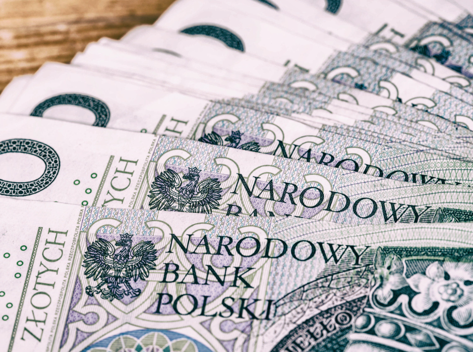złoty polski to waluta, w której operuje Rada Polityki Pieniężnej