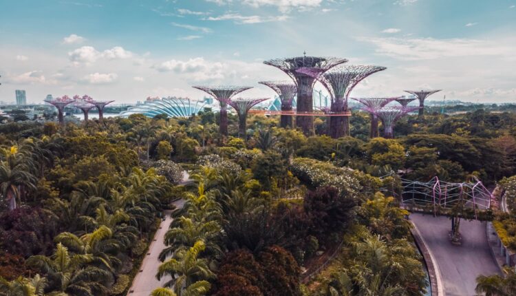 Coinbase z kluczową licencją uprawniającą do prowadzenie działalności w Singapurze