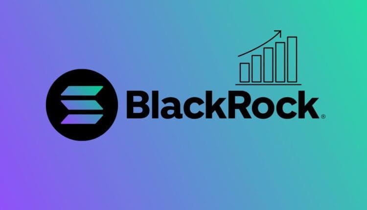 BlackRock złoży wniosek o Solana ETF?  Specjaliści branżowi zabrali głos