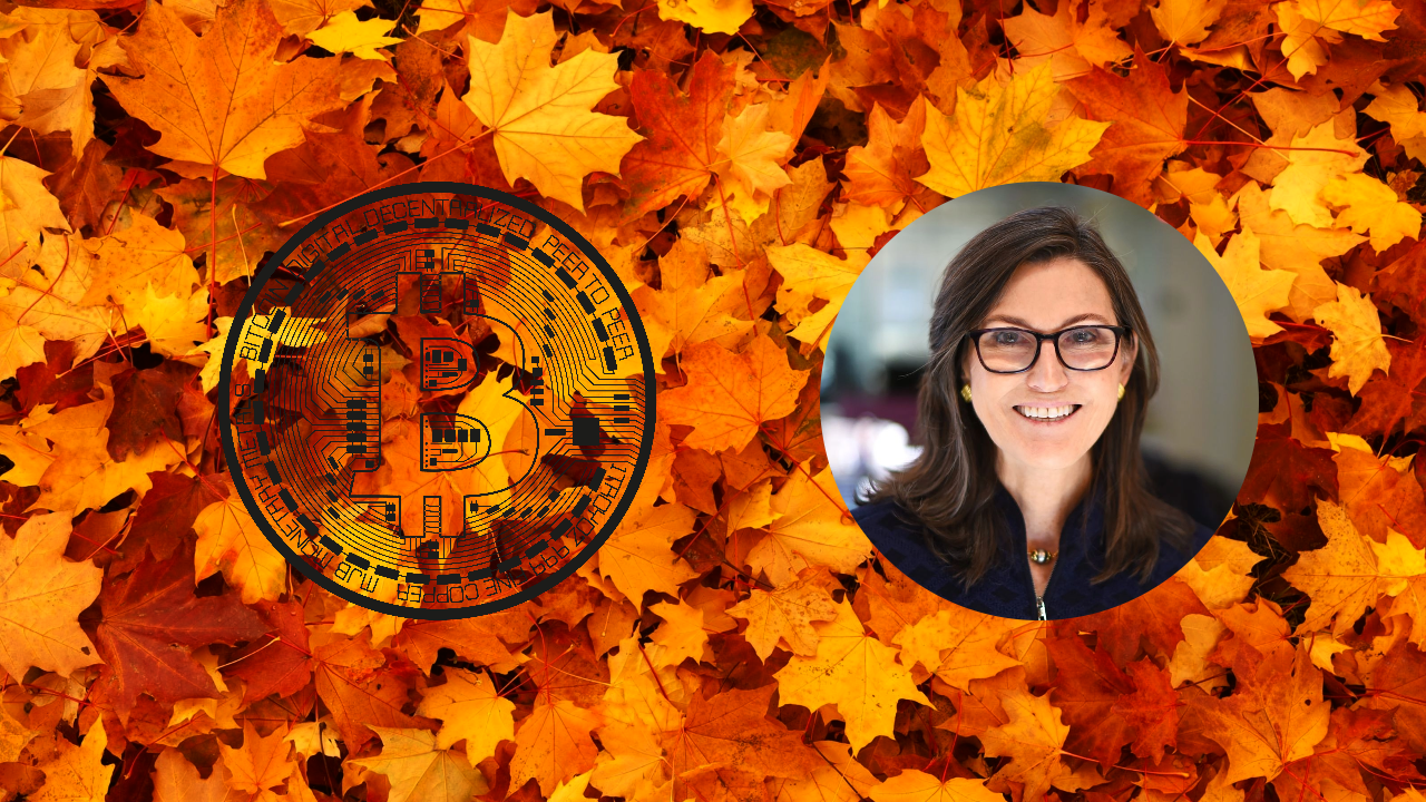 portret cathie wood oraz logo bitcoina na tle jesiennych liści
