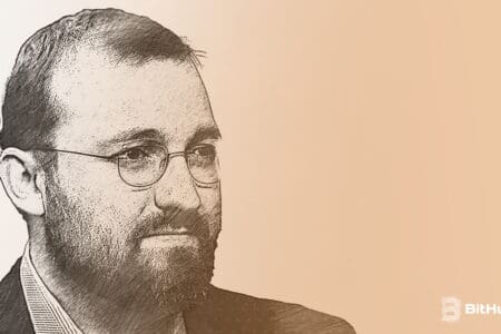 Twórca sieci Cardano (ADA) spalił na wizji 80 milionów dolarów. „Nie róbcie tego więcej”