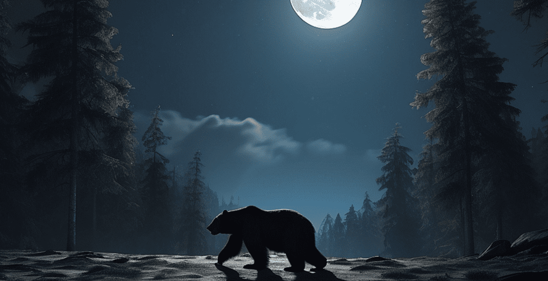 niedźwiedź w lesie, noc, księżyc