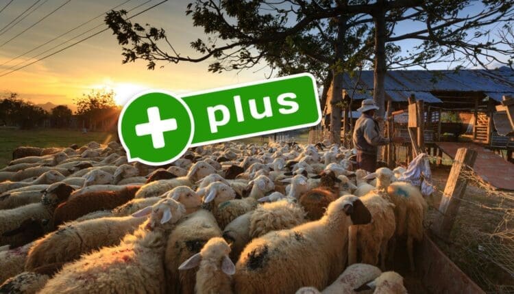 Bitcoin definitywnie kończy hossę? 'Kryptowlauty nie są na to gotowe’. Oto analiza Glassnode